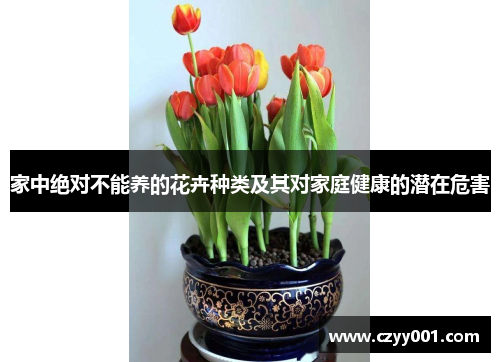 家中绝对不能养的花卉种类及其对家庭健康的潜在危害