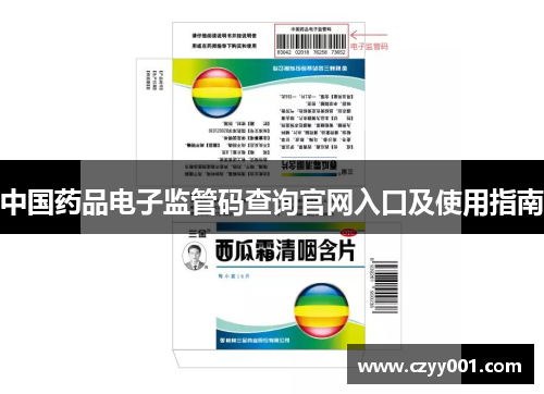 中国药品电子监管码查询官网入口及使用指南