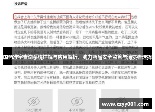 国药准字查询系统详解与应用解析，助力药品安全监管与消费者选择